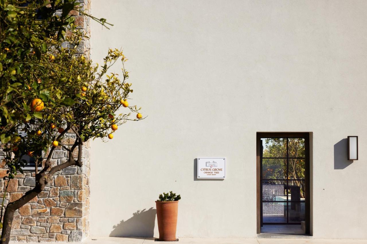 Citrus Grove Luxury Villas Skaleta Eksteriør billede